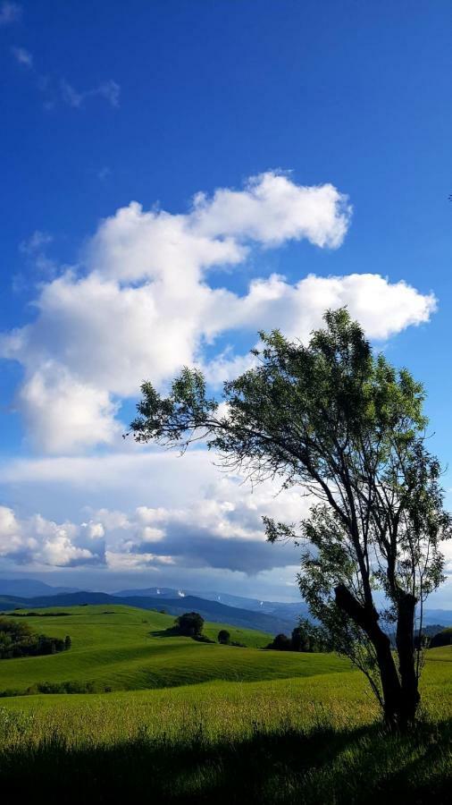 산지미냐노 Borgo Fontaccia B&B 외부 사진